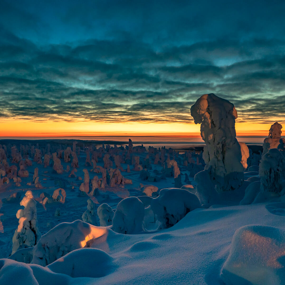 Northern Finland Landscape - Tiera Resort