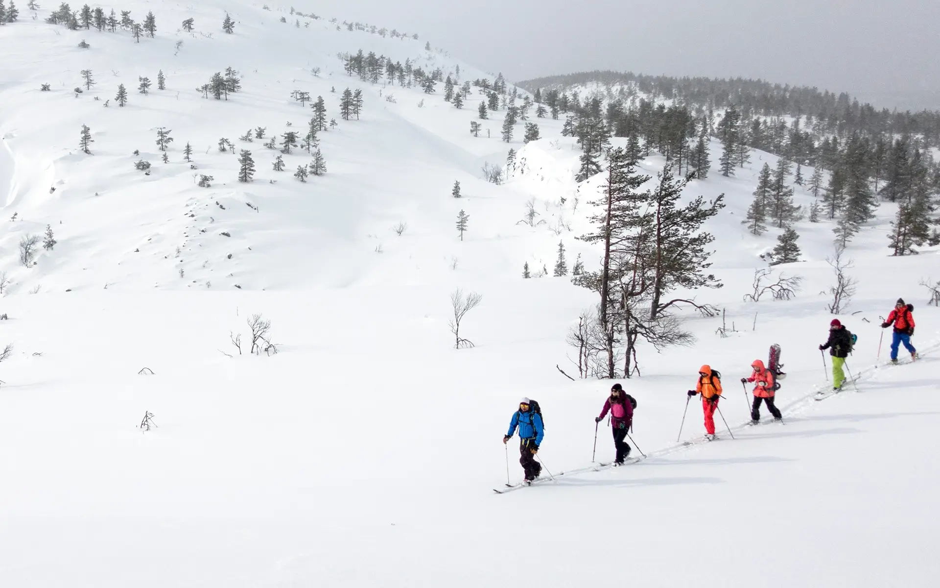 Cross Country Skiing