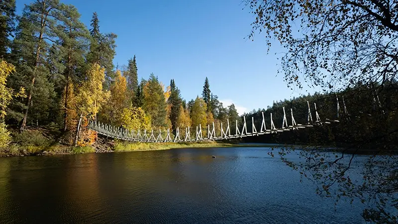 Oulanka-national-park campwire