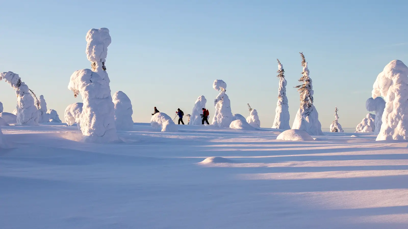 Talviloma Taivalkoskella